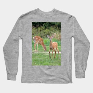 Curious Doe Long Sleeve T-Shirt